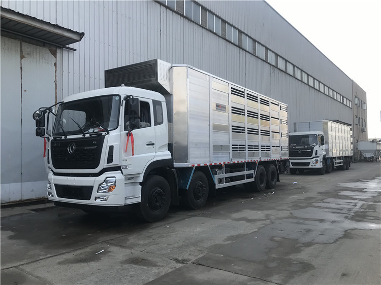 豬仔運輸車